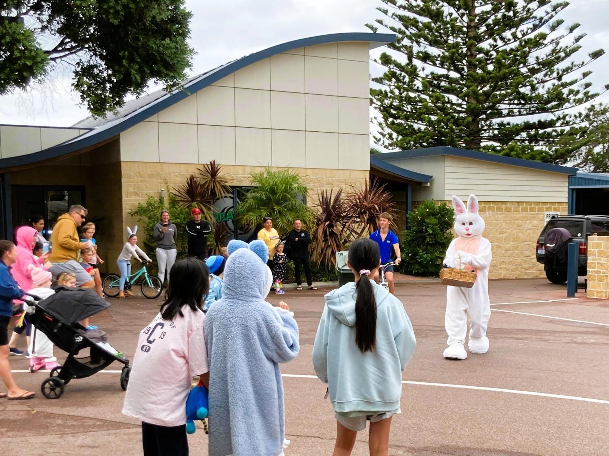 Big4 Middleton Beach Holiday Park アルバニー エクステリア 写真